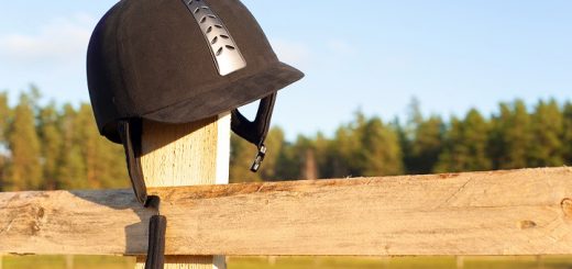 Horse Riding Helmets